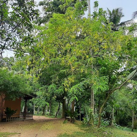 Nature'S Hideout Holiday Home Mirigama ภายนอก รูปภาพ