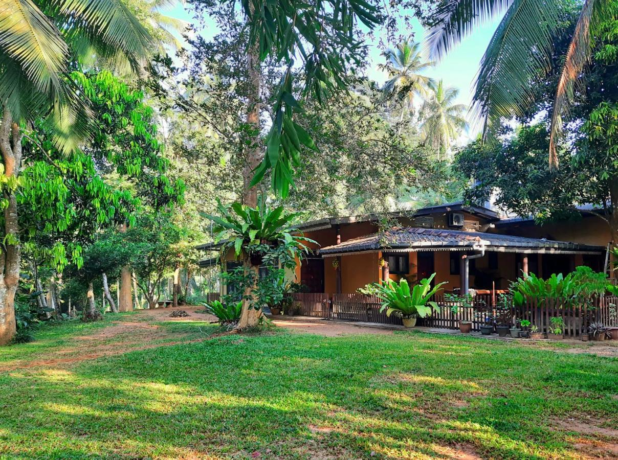 Nature'S Hideout Holiday Home Mirigama ภายนอก รูปภาพ