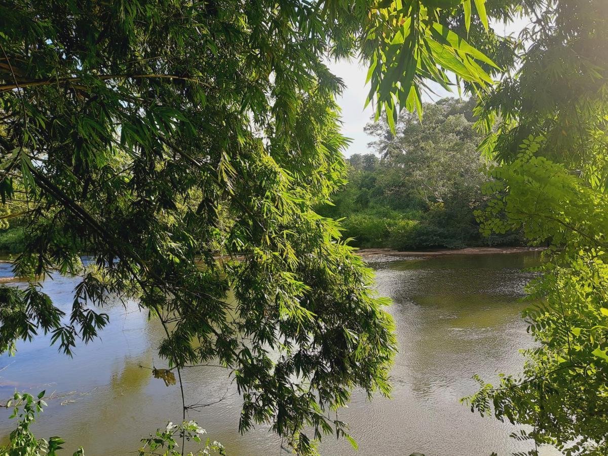 Nature'S Hideout Holiday Home Mirigama ภายนอก รูปภาพ