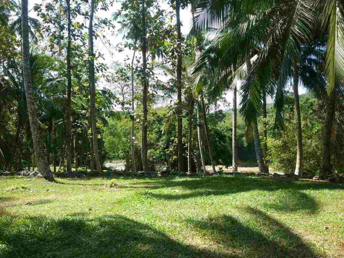 Nature'S Hideout Holiday Home Mirigama ภายนอก รูปภาพ