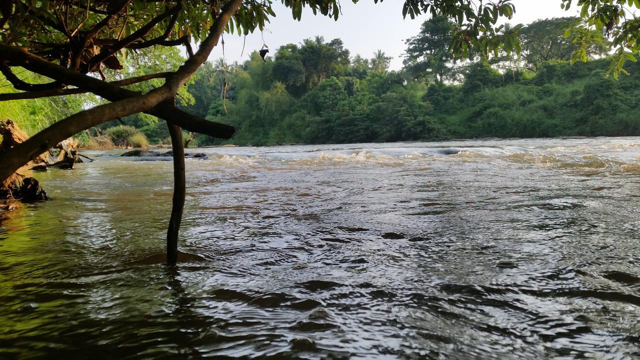 Nature'S Hideout Holiday Home Mirigama ภายนอก รูปภาพ