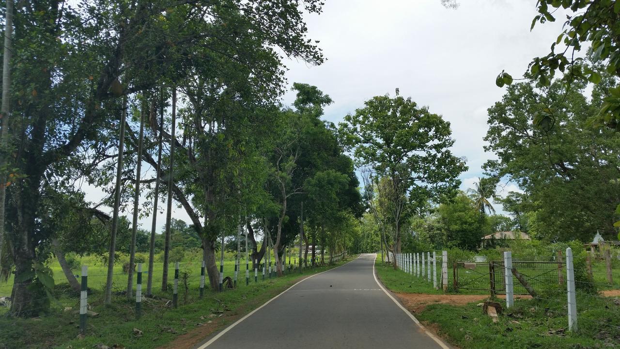 Nature'S Hideout Holiday Home Mirigama ภายนอก รูปภาพ