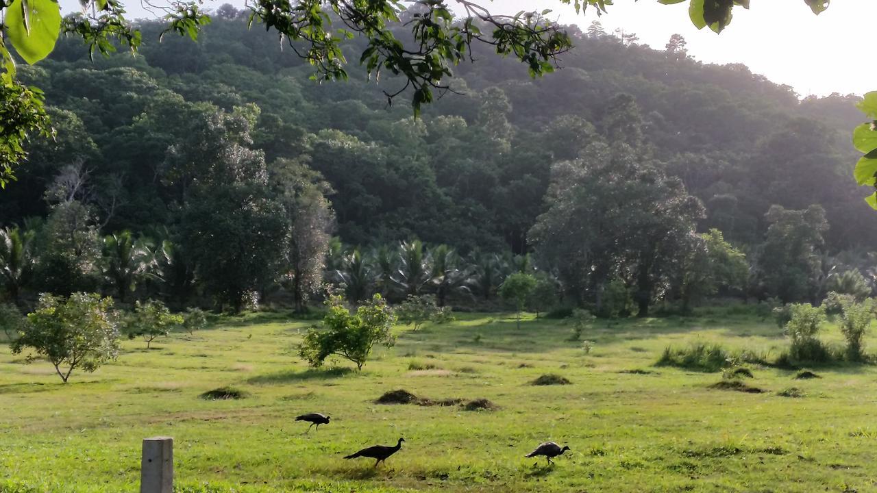 Nature'S Hideout Holiday Home Mirigama ภายนอก รูปภาพ