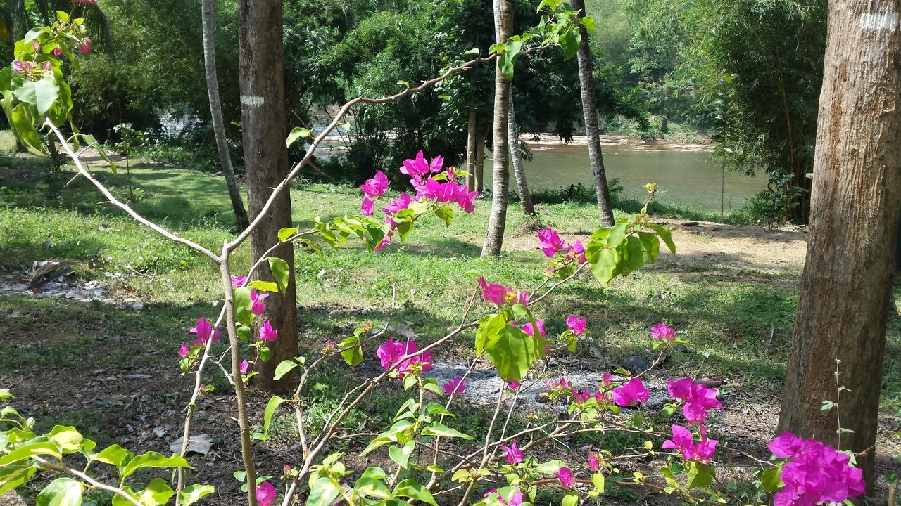 Nature'S Hideout Holiday Home Mirigama ภายนอก รูปภาพ