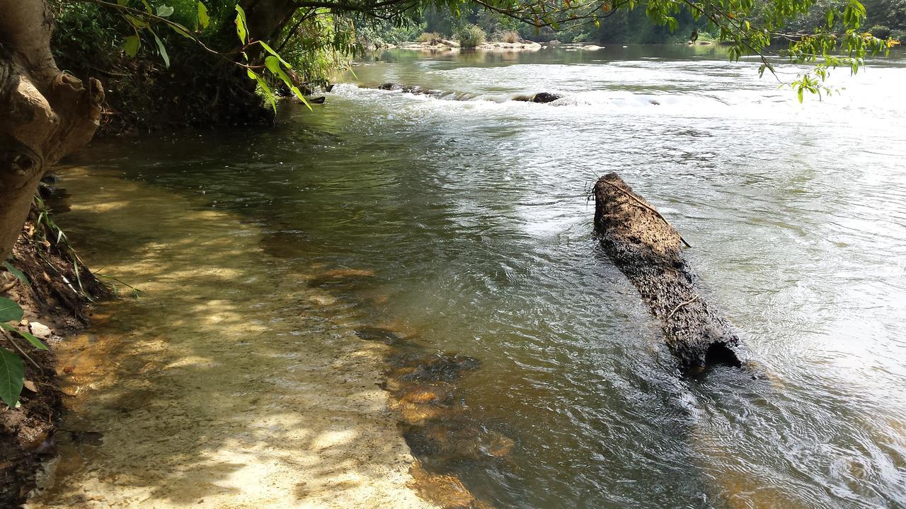 Nature'S Hideout Holiday Home Mirigama ภายนอก รูปภาพ