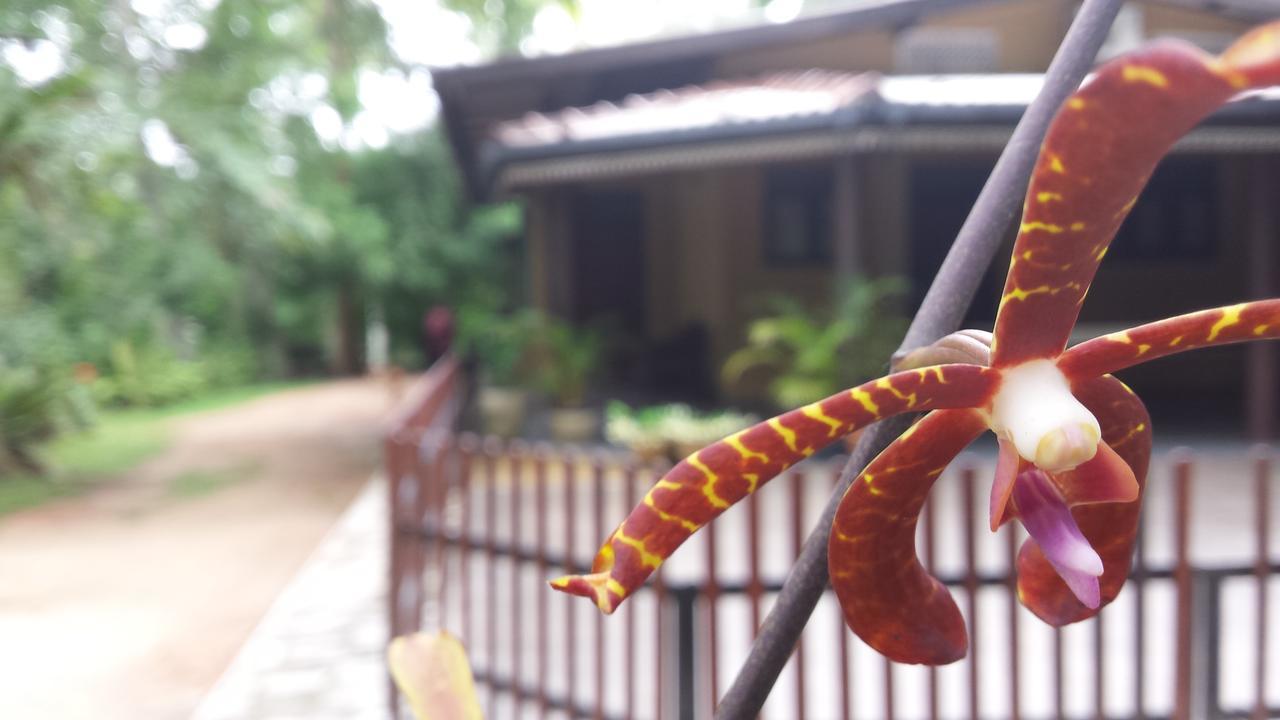 Nature'S Hideout Holiday Home Mirigama ภายนอก รูปภาพ