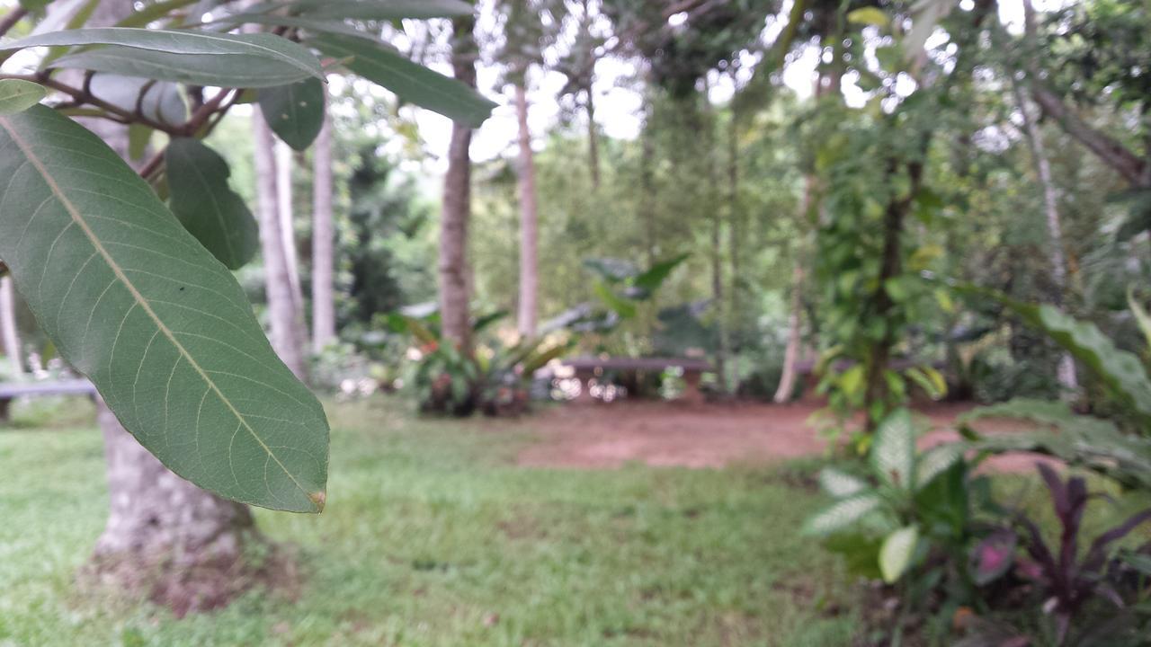 Nature'S Hideout Holiday Home Mirigama ภายนอก รูปภาพ