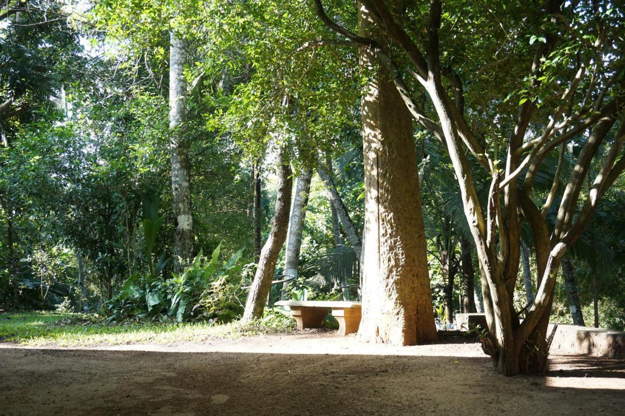 Nature'S Hideout Holiday Home Mirigama ภายนอก รูปภาพ